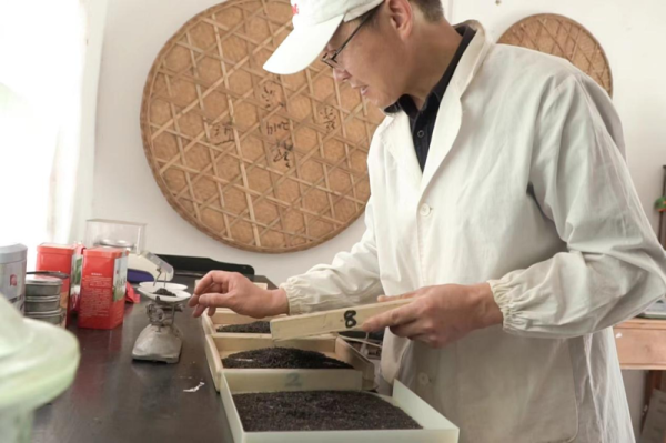 网上正规实盘配资网站 池州东至：“花香祁红”香飘长三角_大皖新闻 | 安徽网