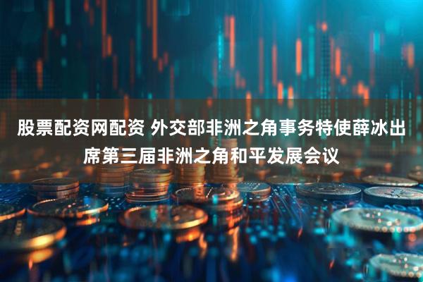 股票配资网配资 外交部非洲之角事务特使薛冰出席第三届非洲之角和平发展会议