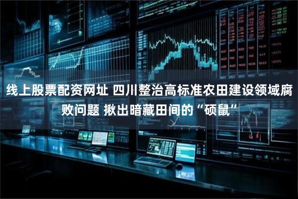 线上股票配资网址 四川整治高标准农田建设领域腐败问题 揪出暗藏田间的“硕鼠”
