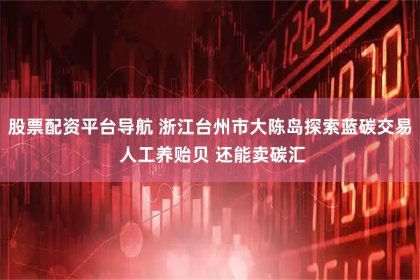 股票配资平台导航 浙江台州市大陈岛探索蓝碳交易 人工养贻贝 还能卖碳汇